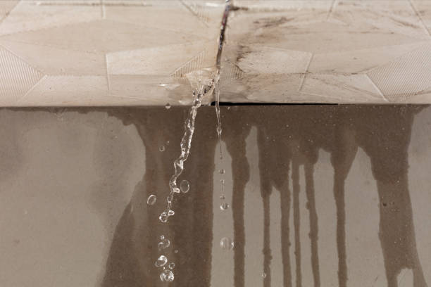 Professional Water Damage Repair technician working in Canton, TX
